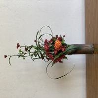 秋の花たち