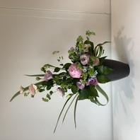 植物の特徴を活かす