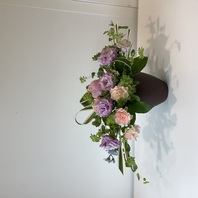 植物の特徴を活かす