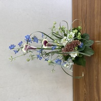 植物の特徴を活かす