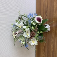 植物の特徴を活かす