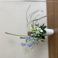 植物の特徴を活かす