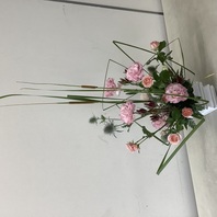 ヒメガマをデザインする