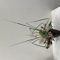 ヒメガマをデザインする